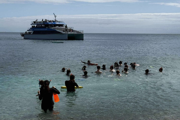 A group of students snorkeling on the Great Barrier Reef trip.