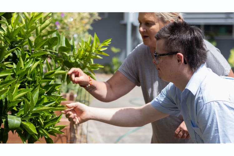 Student and staff learning in the Hive garden
